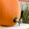 The Pumpkin Tap Kit -Bar Supplies 178360 pumpkin tap kit b1 3 89842.1590771871