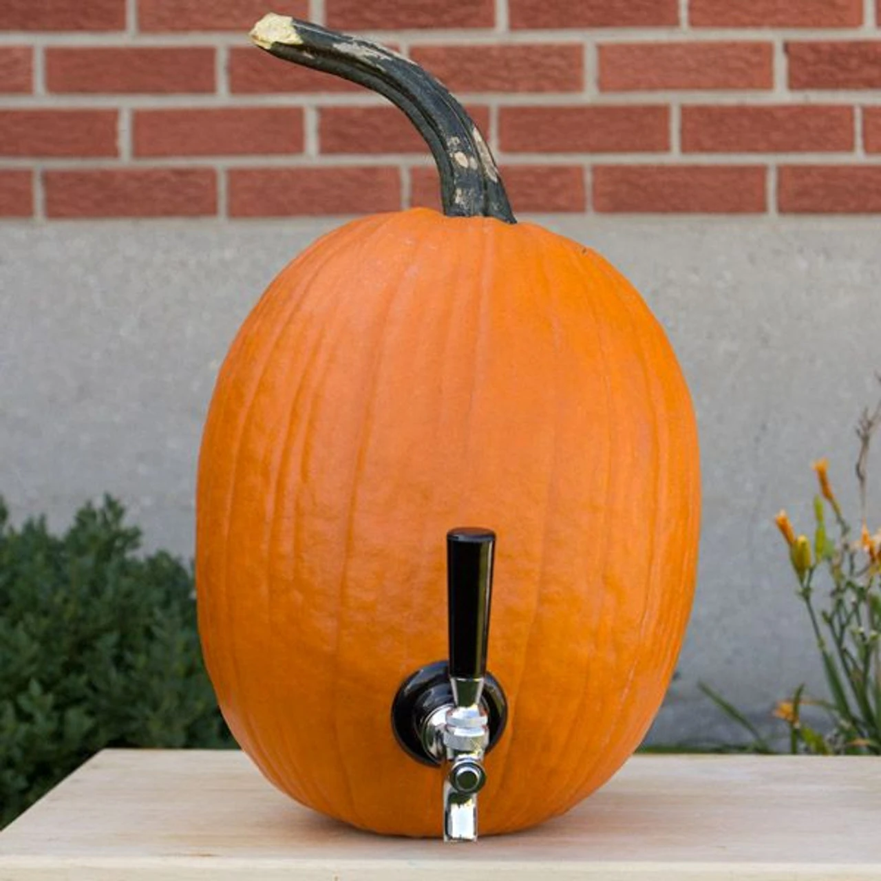The Pumpkin Tap Kit 4 The Pumpkin Tap Kit - Image 2