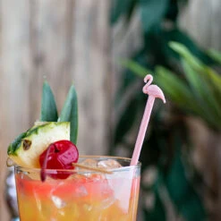 Pink Flamingo Cocktail Stirrers - Box Of 1000 -Bar Supplies 7049 1 kit pink flamingo cocktail stirrers 4 1 95134.1590768479