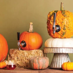 The Pumpkin Tap Kit 11 The Pumpkin Tap Kit -Bar Supplies pumpkin kit 001 74347.1590771871