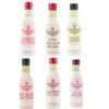 Fee Brothers Bar Cocktail Bitters - Series II - Set Of 6